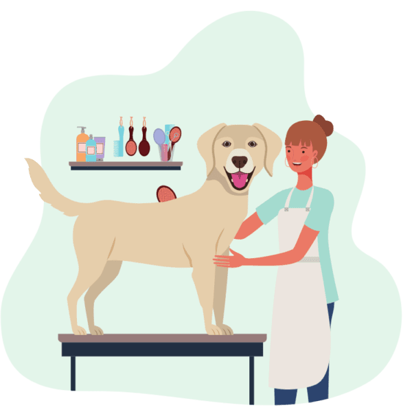 doorstep-pet-grooming-services-in-delhi-woofly-india