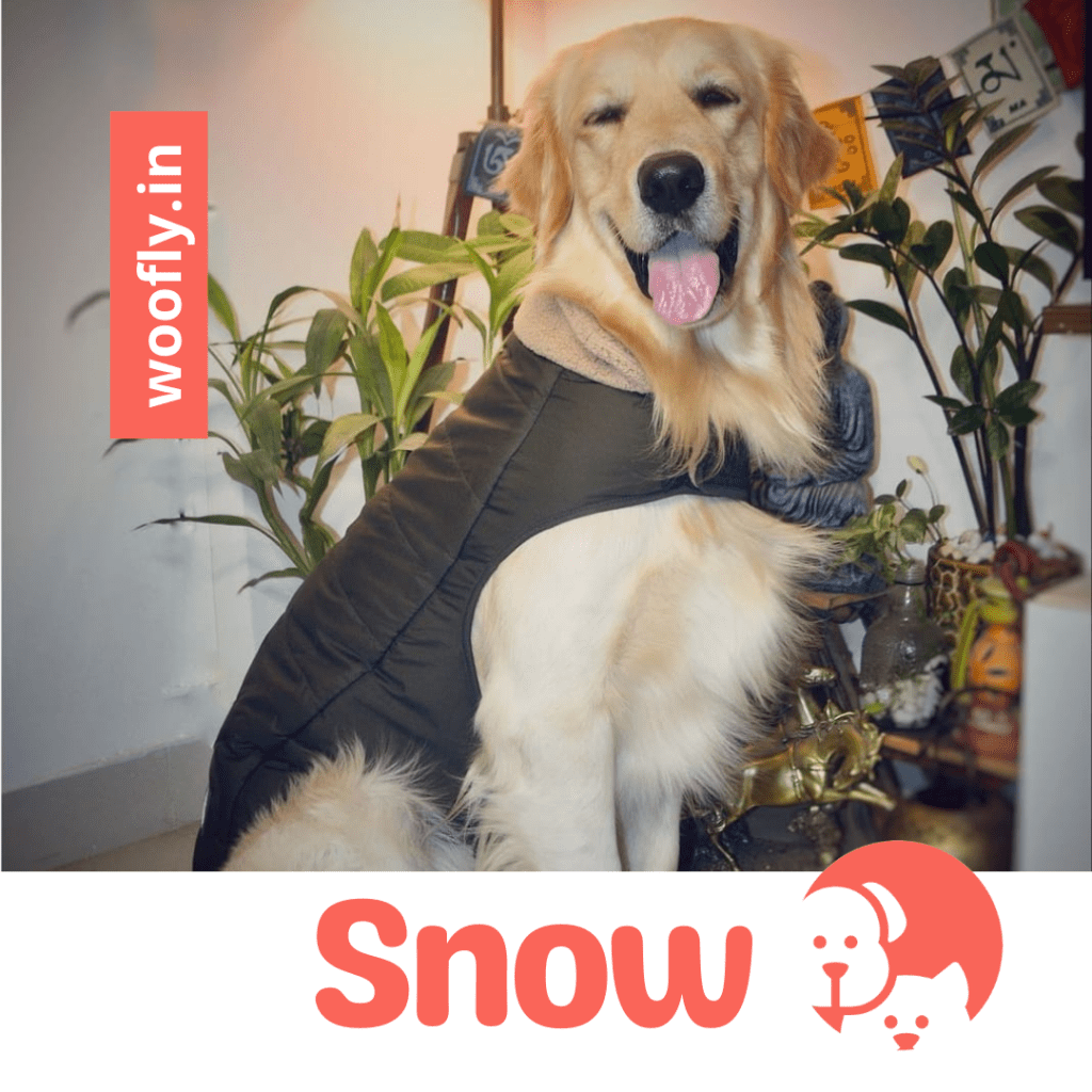 woofly-snow-grooming-customer-image